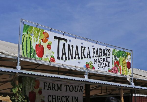 Tanaka Farms Irvine